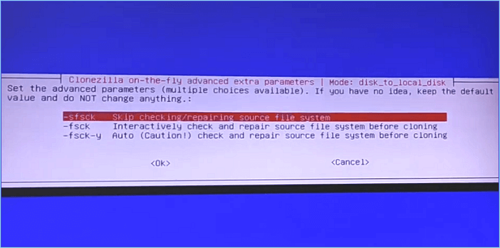 파일 시스템 확인 건너뛰기