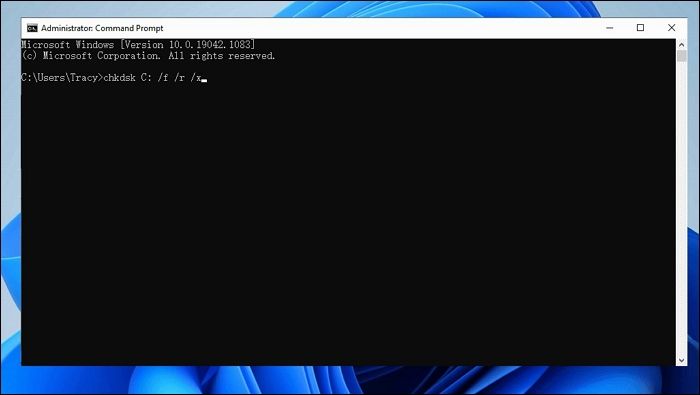 디스크 검사 명령