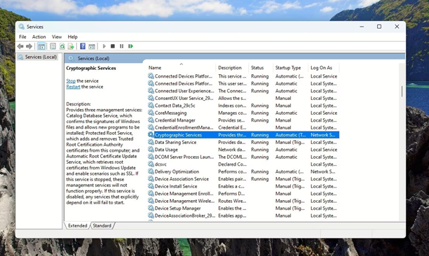 암호화 서비스 검색