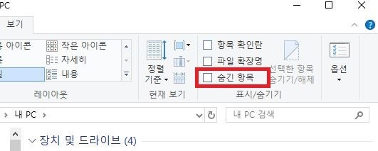 숨겨진 파일 표시