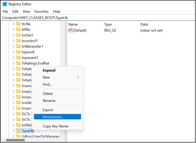 레지스트리 typelib 권한