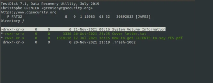 파일 강제 복구