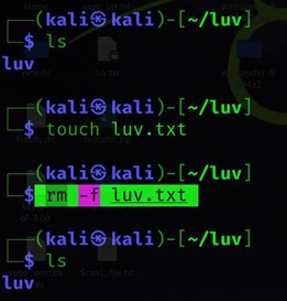 rm-f 명령을 사용하여 Linux에서 파일 삭제