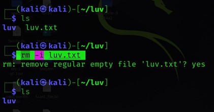 rm-i 명령을 사용하여 Linux에서 파일 삭제
