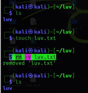 rm-v 명령을 사용하여 Linux에서 파일 삭제
