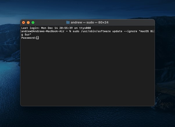 macOS 업데이트를 영구적으로 중지