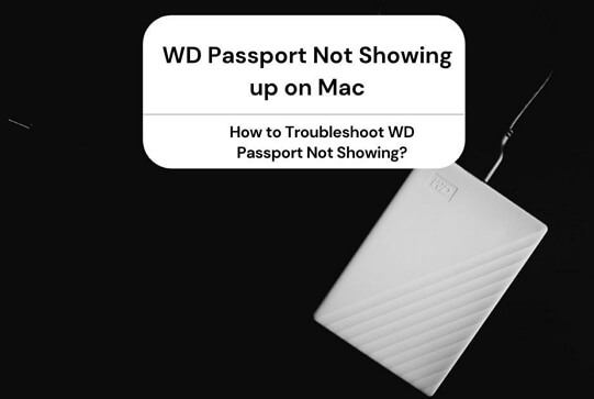 WD Passport가 Mac에 표시되지 않음