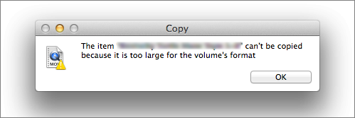 볼륨 형식에 비해 너무 큽니다.