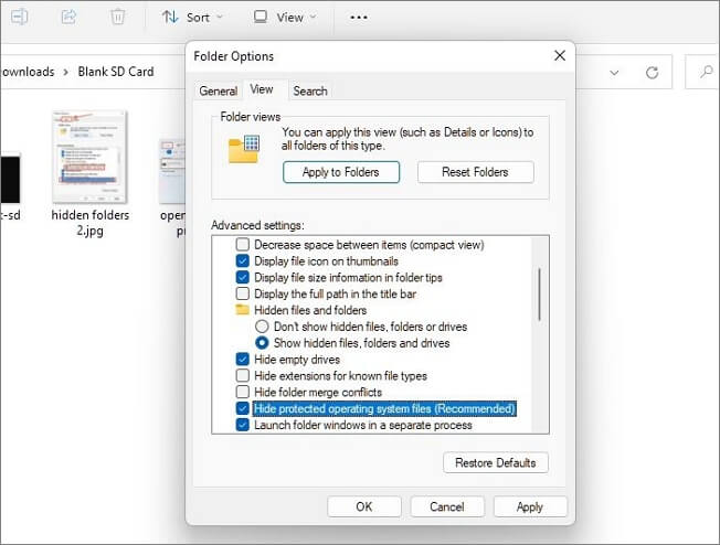 숨겨진 파일 보기