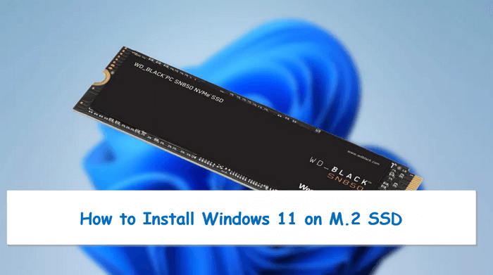 format m.2 ssd windows 11