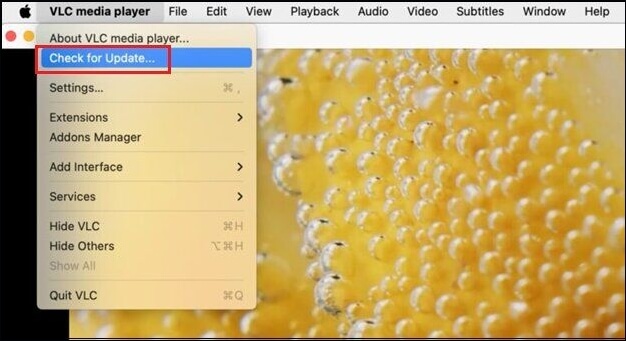 vlc 미디어 플레이어 업데이트