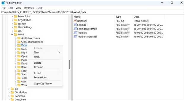 Word 레지스트리 키 제거