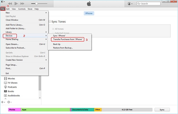 iPhone에서 iTunes로 직접 음악 전송