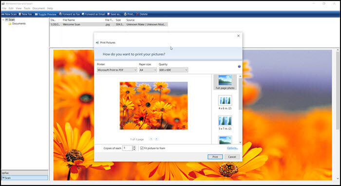 Windows 팩스 및 스캔