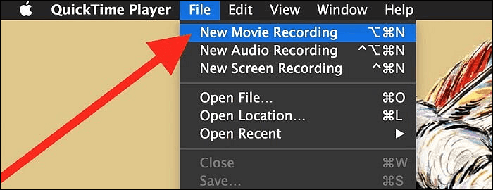 퀵타임 플레이어 스크린 맥