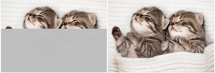 사진이 반 회색